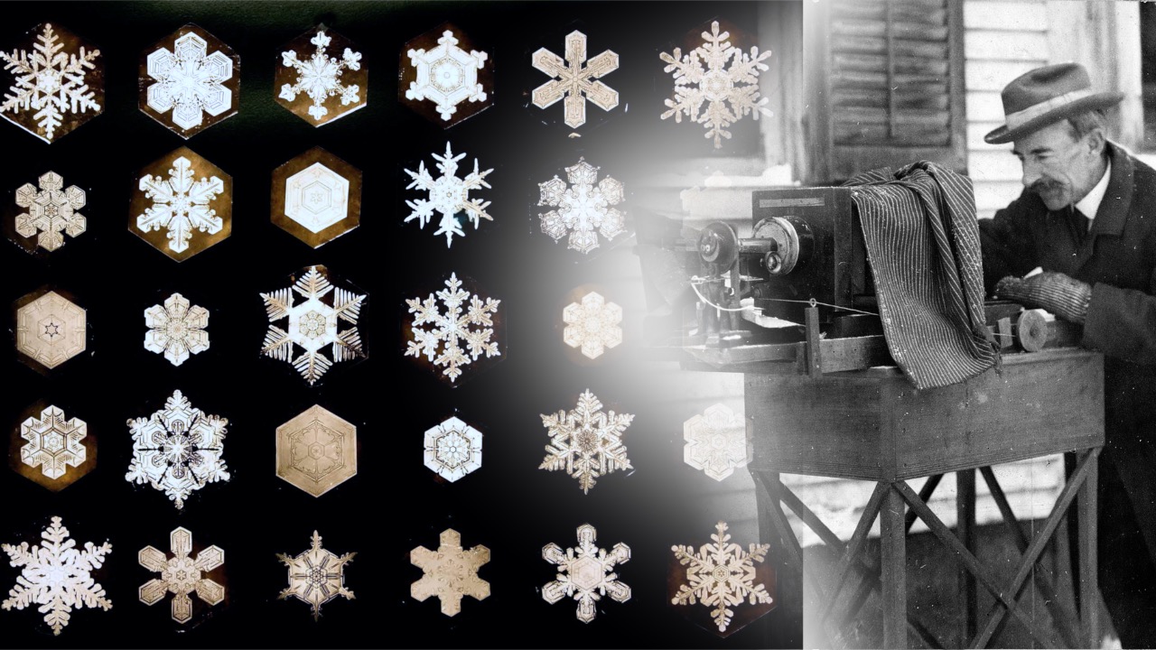 Snowflake Bentley