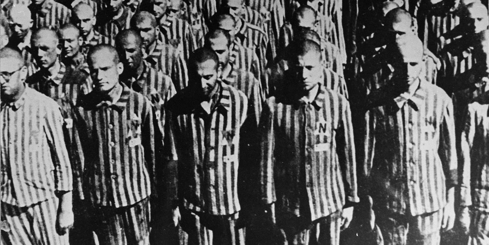 I Felt Detached About My Family's Holocaust Story Until...