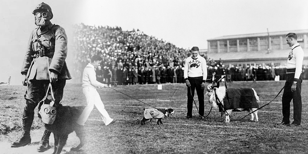 Sgt. Stubby: The Most Decorated War Dog of WWI