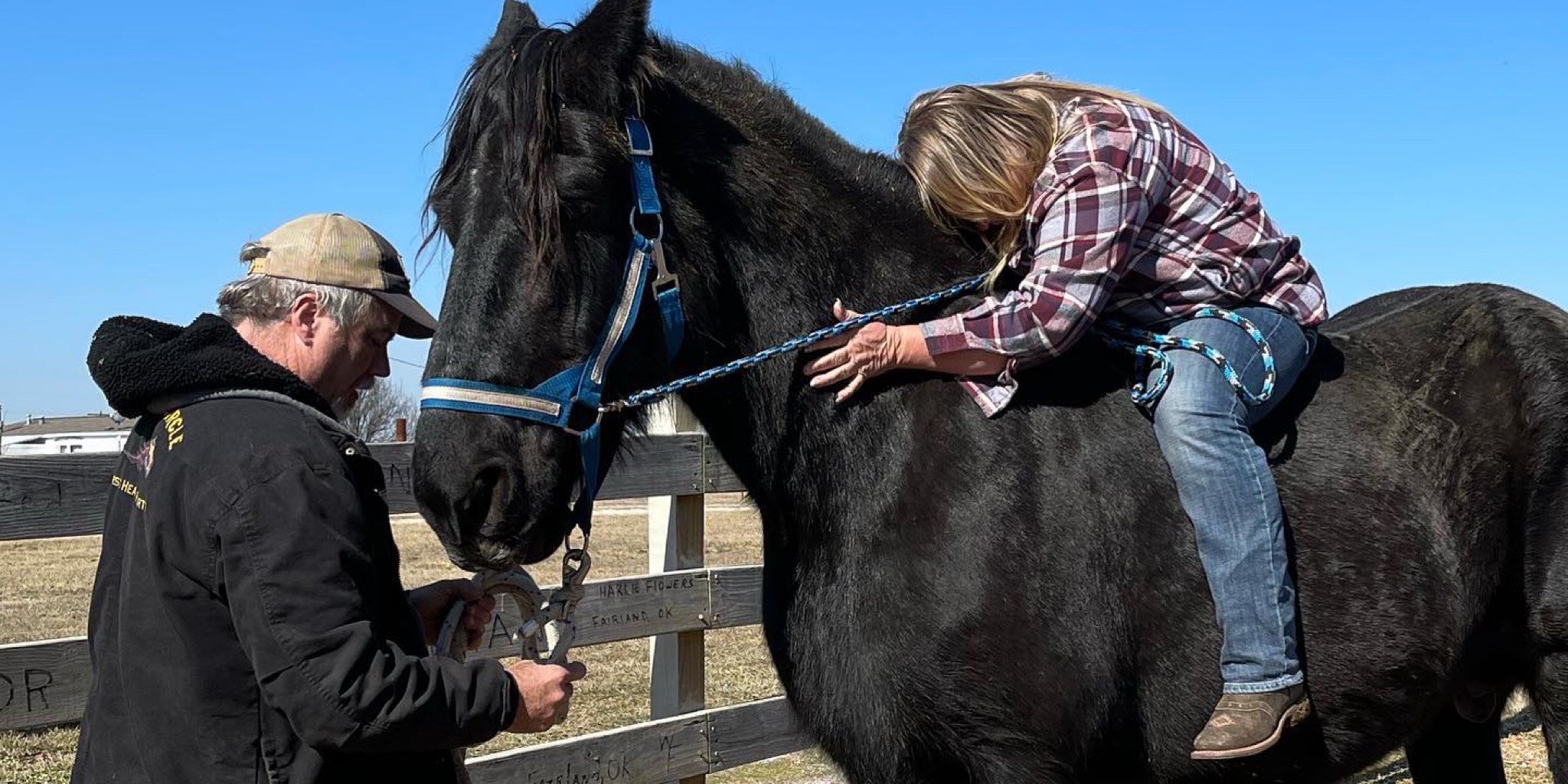 How Horses Healed and Saved Not One Life...But Two
