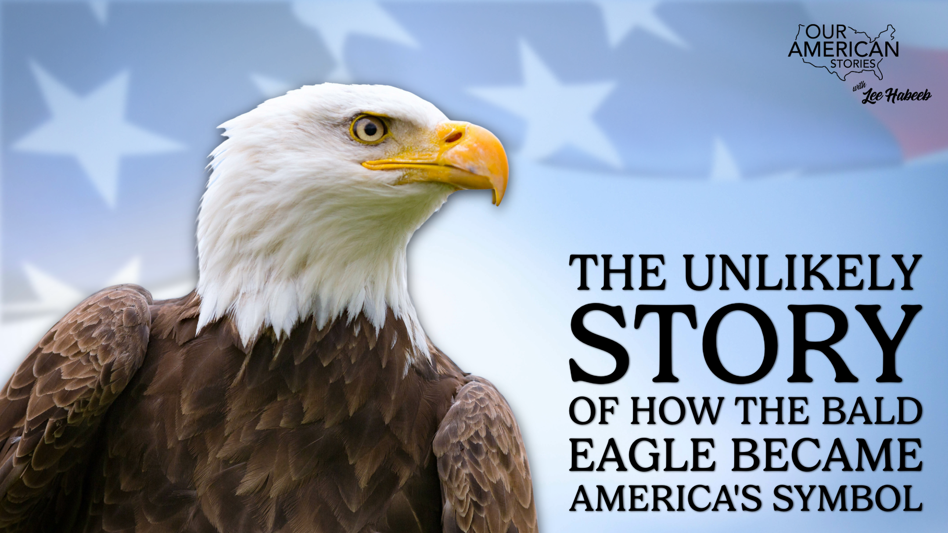 The Unlikely Story of How the Bald Eagle Became America's Symbol